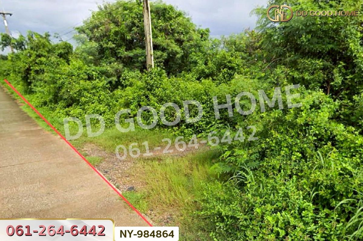 ขายที่ดินฉะเชิงเทรา : NY-984864 ที่ดินราชสาส์น 13 ไร่ 31ตร.ว. ฉะเชิงเทรา ใกล้ กศน.บางคา