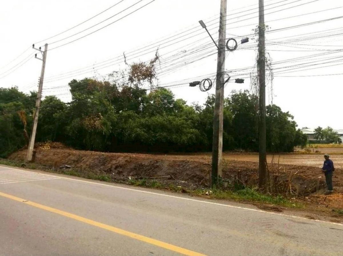 For SaleLandPathum Thani,Rangsit, Thammasat : Land for sale, Pathum Thani, Bang Say (LVC20004)