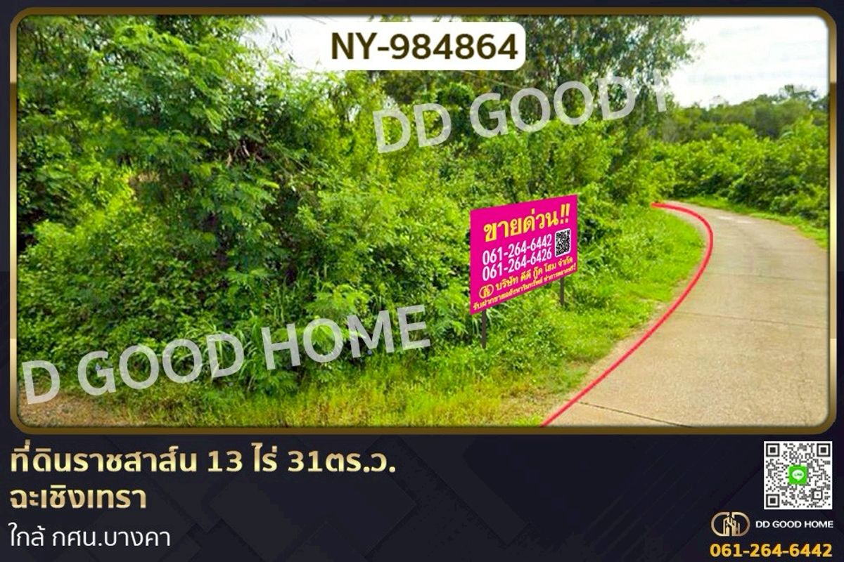 ขายที่ดินฉะเชิงเทรา : NY-984864 ที่ดินราชสาส์น 13 ไร่ 31ตร.ว. ฉะเชิงเทรา ใกล้ กศน.บางคา