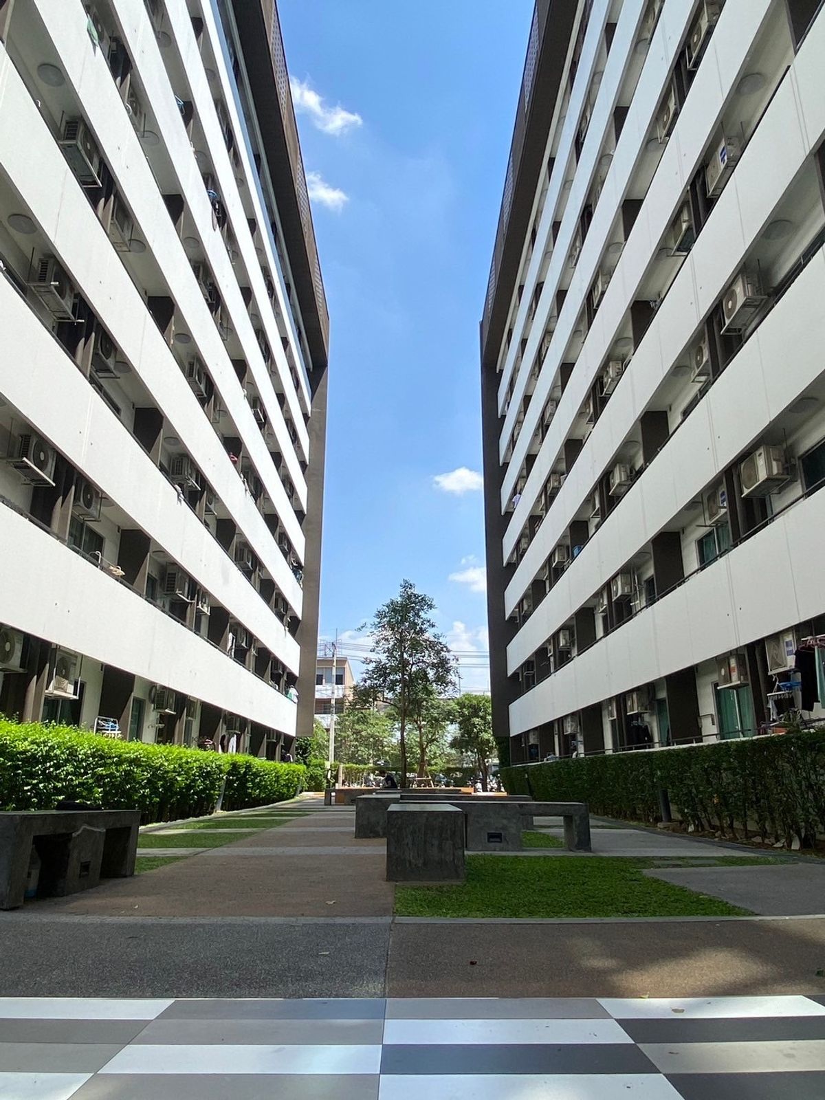 ขายคอนโดปทุมธานี รังสิต ธรรมศาสตร์ : (16658) PLUM CONDO Phaholyothin 89