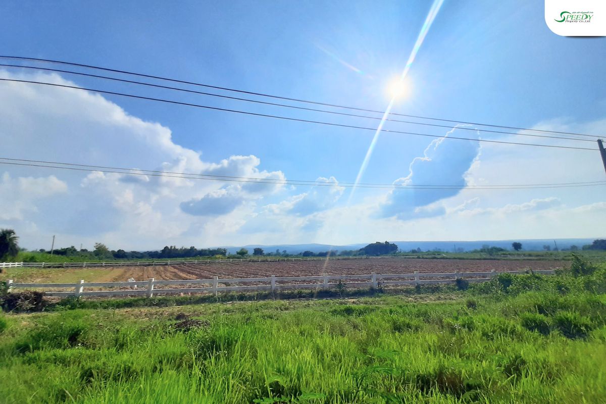 ขายที่ดินโคราช นครราชสีมา : ที่ดิน วิวเขา ภูหลวง โคราช 
