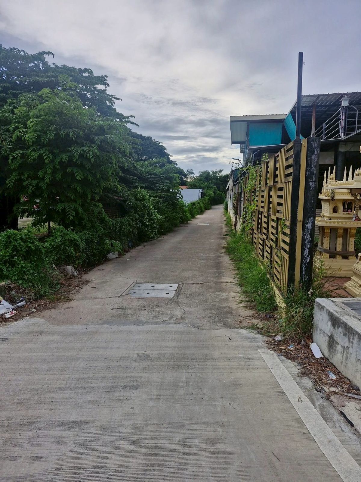 For SaleLandPattaya, Bangsaen, Chonburi : Land for sale on Sukhumvit Road Near Big C Satta