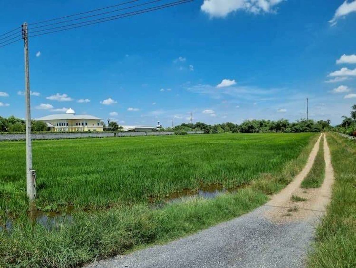 ให้เช่าที่ดินปทุมธานี รังสิต ธรรมศาสตร์ :  ให้เช่า ที่ดิน แปลงใหญ่ 45 ไร่ ทำเลดี ใกล้ชุมชน ติดถนนเลียบคลอง 7 ตำบลลำลูกกา อำเภอลำลูกกา จังหวัดปทุมธานี