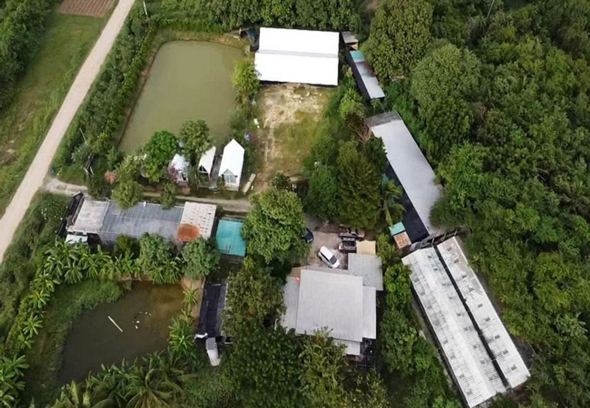 ขายที่ดินนครปฐม : ขายที่ดิน ซอยทัพยายท้าว ถนนมาลัยแมน บ้านยาง เมืองนครปฐม เนื้อที่ 3-3-66 ไร่ พร้อมสิ่งปลูกสร้าง ราคาต่อรองได้