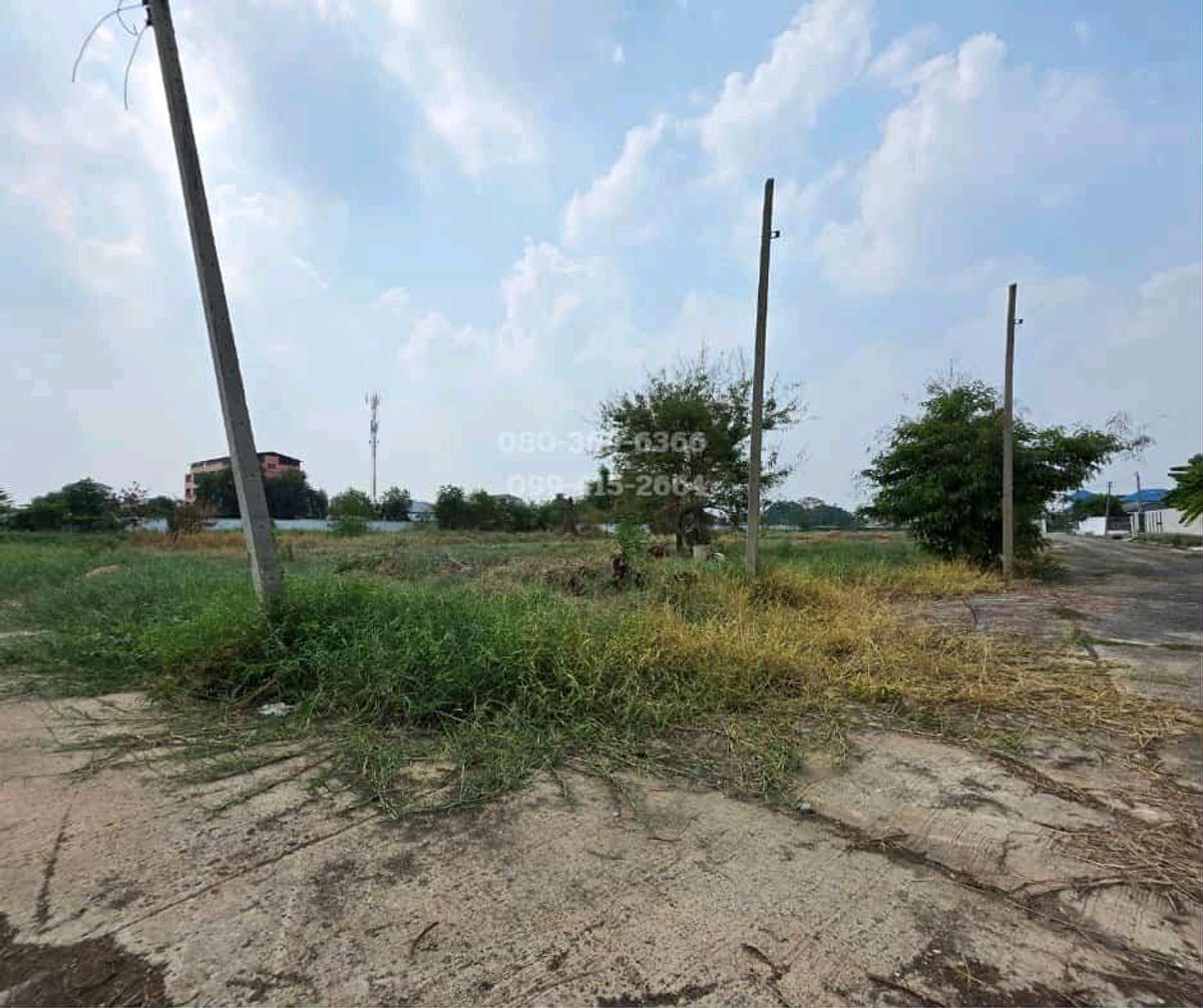 ขายที่ดินปทุมธานี รังสิต ธรรมศาสตร์ : ขายด่วน ที่ดินสวย ทำเลทอง รังสิตคลองหลวง ปทุมธานี