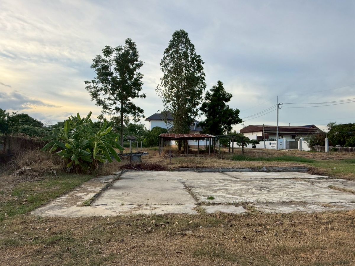 ขายที่ดินนครปฐม : ขายที่ดิน 8 แยก อำเภอเมืองนครปฐม ติดถนน 2 ด้าน ร่มรื่น บรรยากาศดี ใกล้ราชภัฎนครปฐม