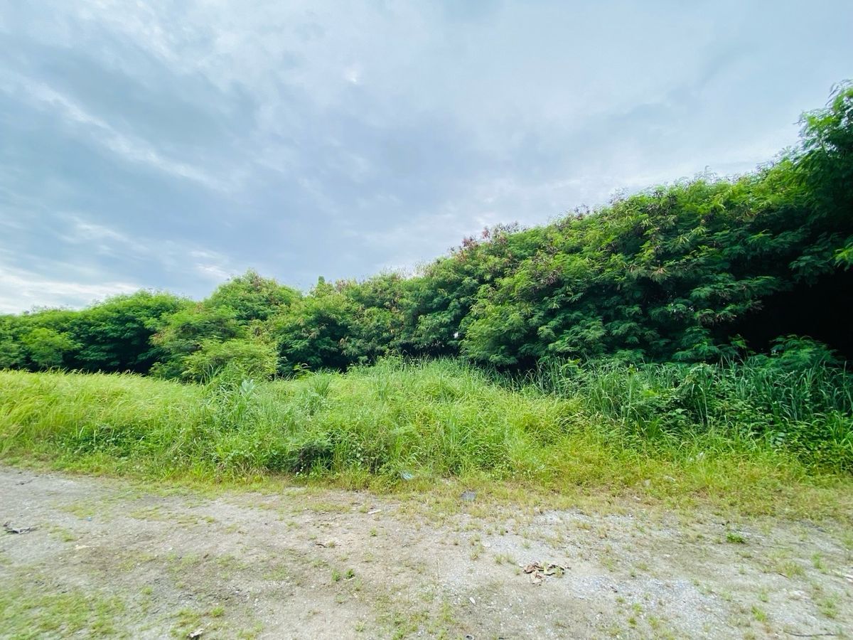 ขายที่ดินราษฎร์บูรณะ สุขสวัสดิ์ : ที่ดินสีม่วง + โกดัง + สำนักงาน + ใบอนุญาต รง.4 กว่า 10 ไร่ สุขสวัสดิ์ 84 (ซอยวัดคู่สร้าง)