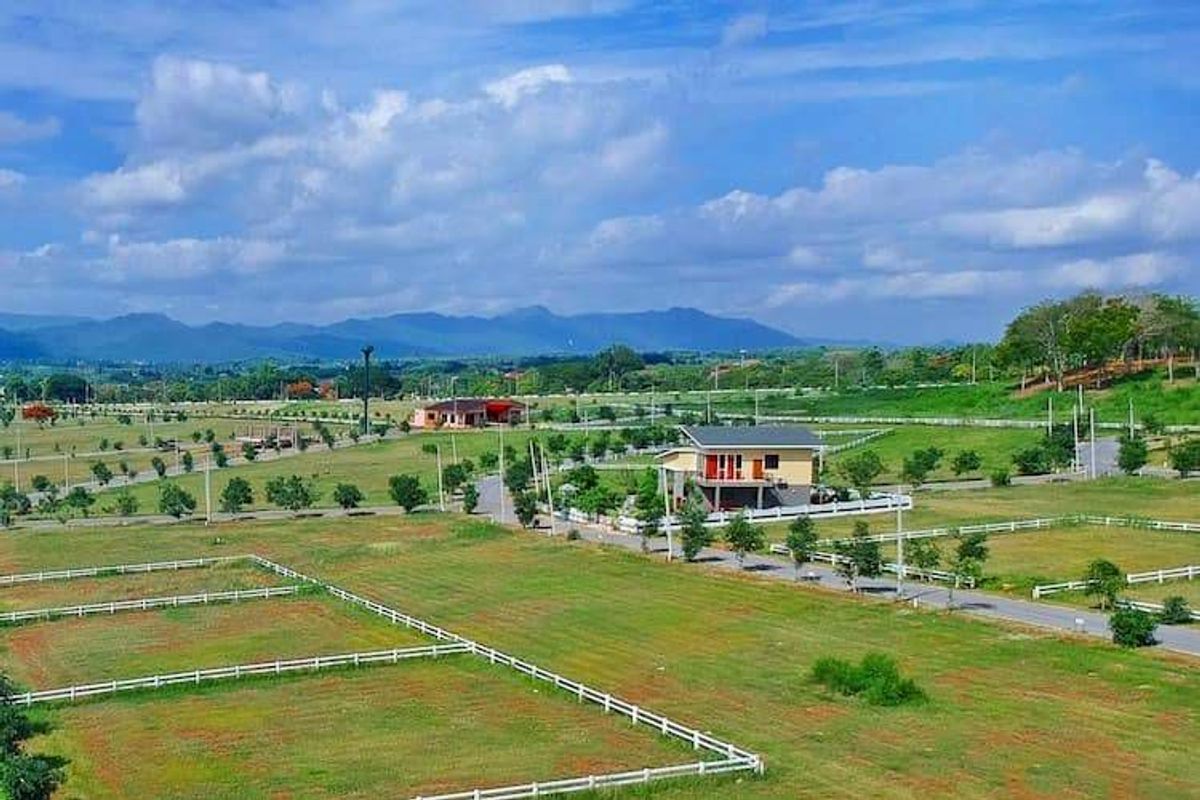 ขายที่ดินปากช่อง เขาใหญ่ : ที่ดิน น้ำไม่ท่วม สูงกว่าระดับน้ำทะเล 400 เมตร และเป็นพื้นดินธรรมชาติที่แน่น จัดสรรแบ่งขาย ในโครงการฮอลิเดย์ปาร์คเขาใหญ่ เฟส 9 วิวสวย อากาศดี บนทำเลศักยภาพ หนองมะค่า อำเภอปากช่อง นครราชสีมา