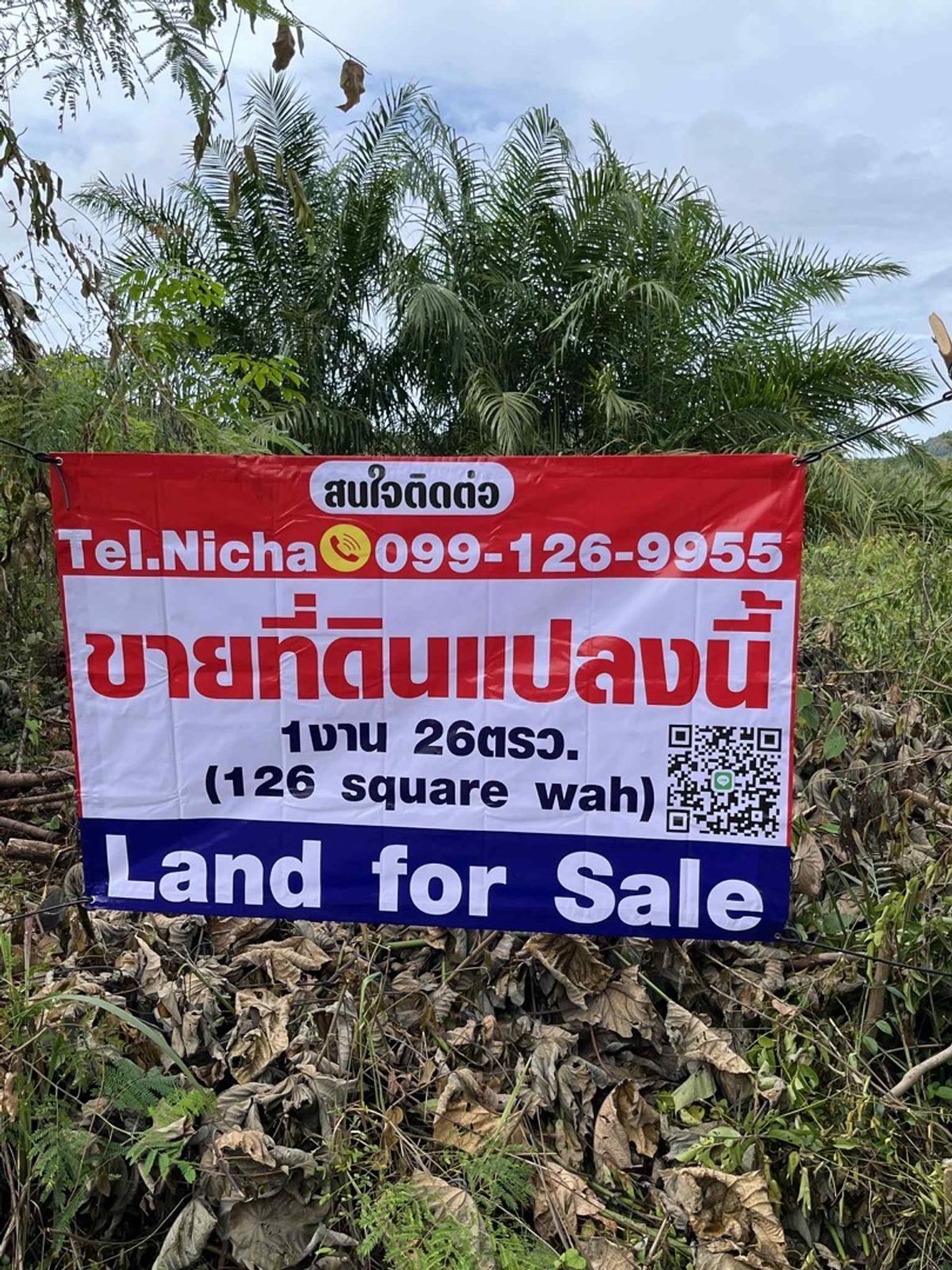 ขายที่ดินกระบี่ : ที่ดินวิวภูเขา อ่าวนางกระบี่ (ใกล้หาดอ่าวนาง 3Km)