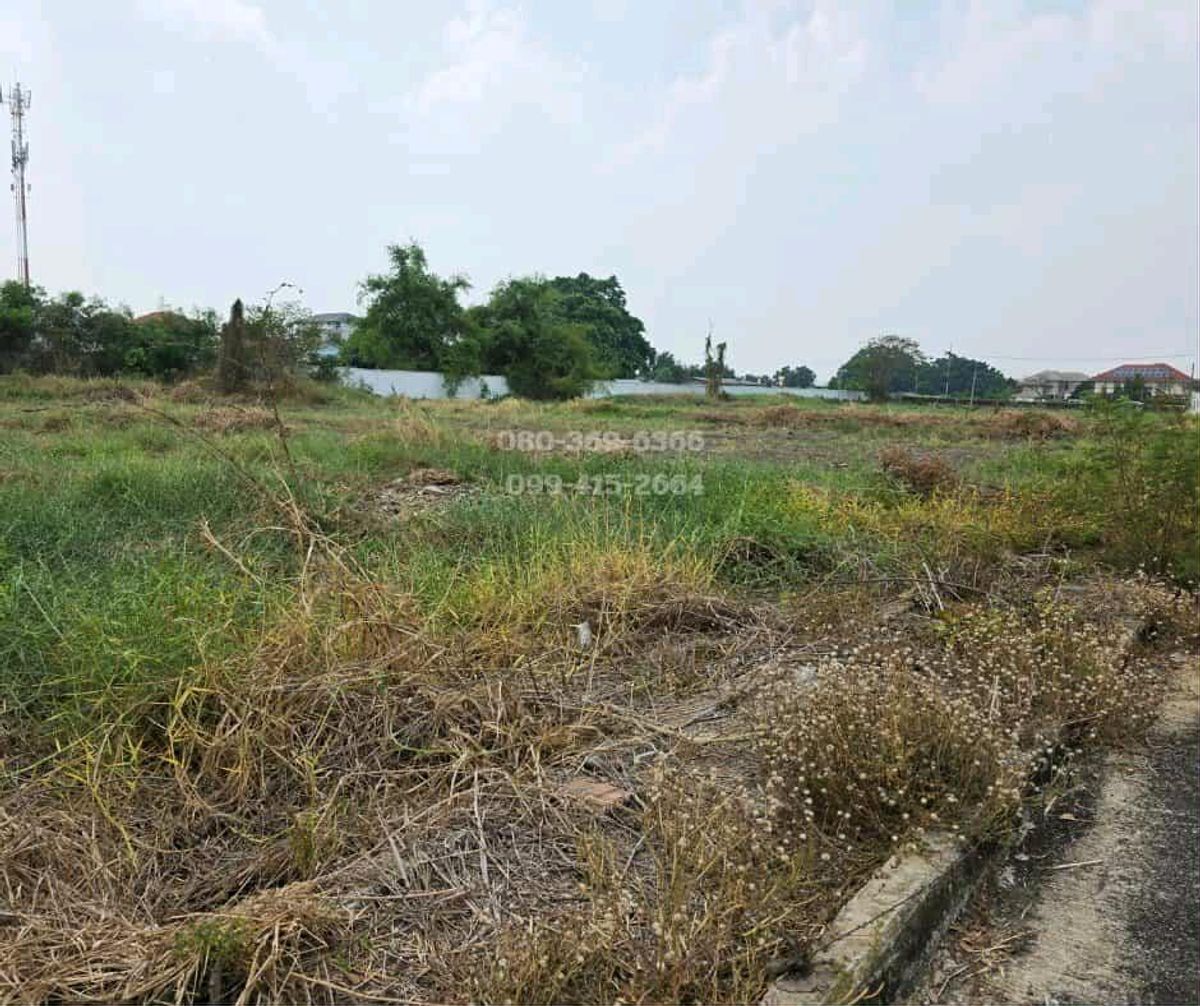 ขายที่ดินปทุมธานี รังสิต ธรรมศาสตร์ : ขายด่วน ที่ดินสวย ทำเลทอง รังสิตคลองหลวง ปทุมธานี