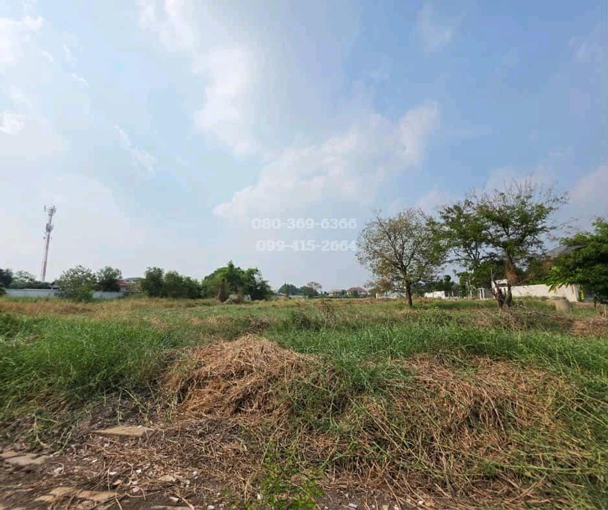 ขายที่ดินปทุมธานี รังสิต ธรรมศาสตร์ : ขายด่วน ที่ดินสวย ทำเลทอง รังสิตคลองหลวง ปทุมธานี