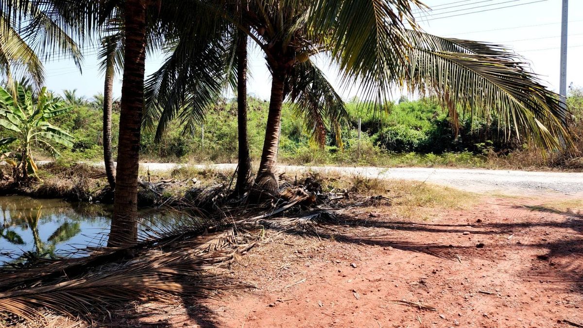 ขายที่ดินพระราม 2 บางขุนเทียน : ขาย ที่ดิน แปลงสวย พระราม 2 ท่าข้าม ซอย อนามัยงามเจริญ 33