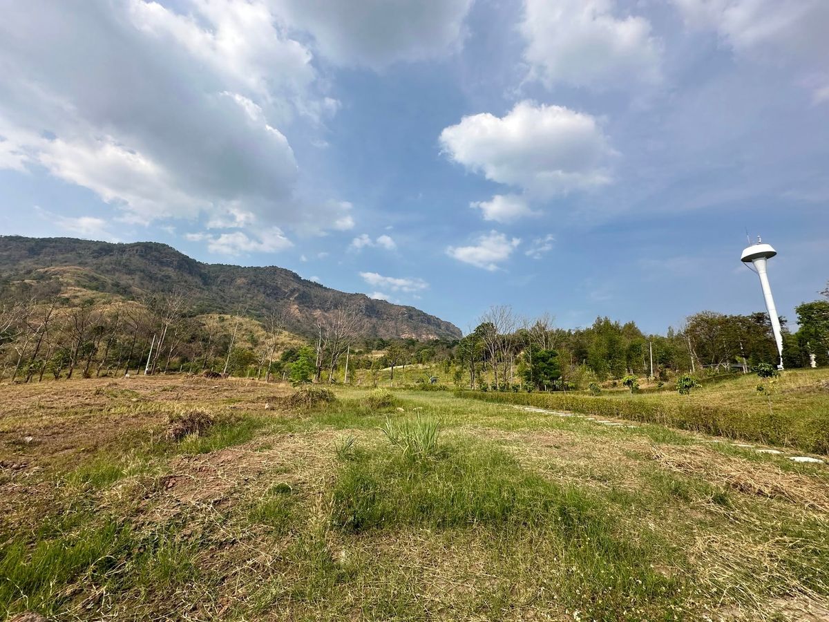 ขายที่ดินเพชรบูรณ์ : ขาย ที่ดิน เขาค้อ เพชรบูรณ์ The Blue Sky Resort