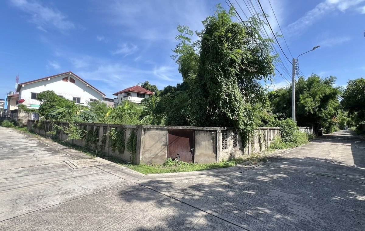 For SaleLandRama5, Ratchapruek, Bangkruai : Land for sale, rare corner, filling, ready to build Soi Tiwanon 50, near the 202 sq.m.