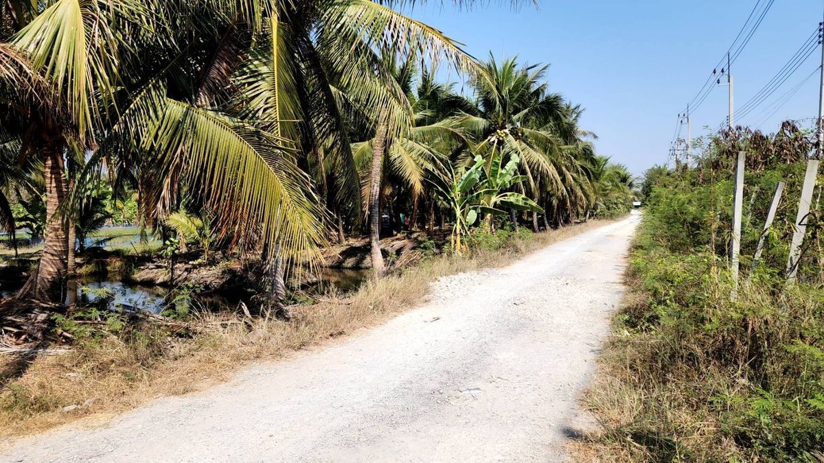 ขายที่ดินพระราม 2 บางขุนเทียน : ขาย ที่ดิน แปลงสวย พระราม 2 ท่าข้าม ซอย อนามัยงามเจริญ 33