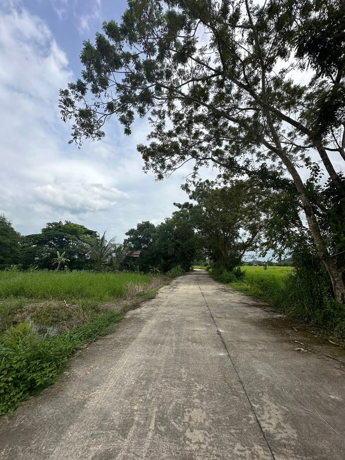 ขายที่ดินนครนายก : ขายถูก ที่ดิน นครนายก สาริกา วิวเขา เหมาะทำ บ้านพักตากอากาศ คาเฟ่ 