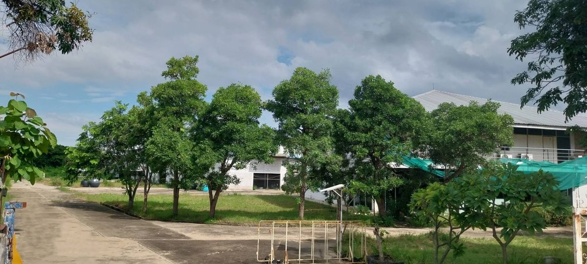 โกดังลพบุรี : ที่ดิน ให้เช่า พร้อมโกดัง ลพบุรี ท่าวุ้ง 33 ไร่ ติดถนนใหญ่