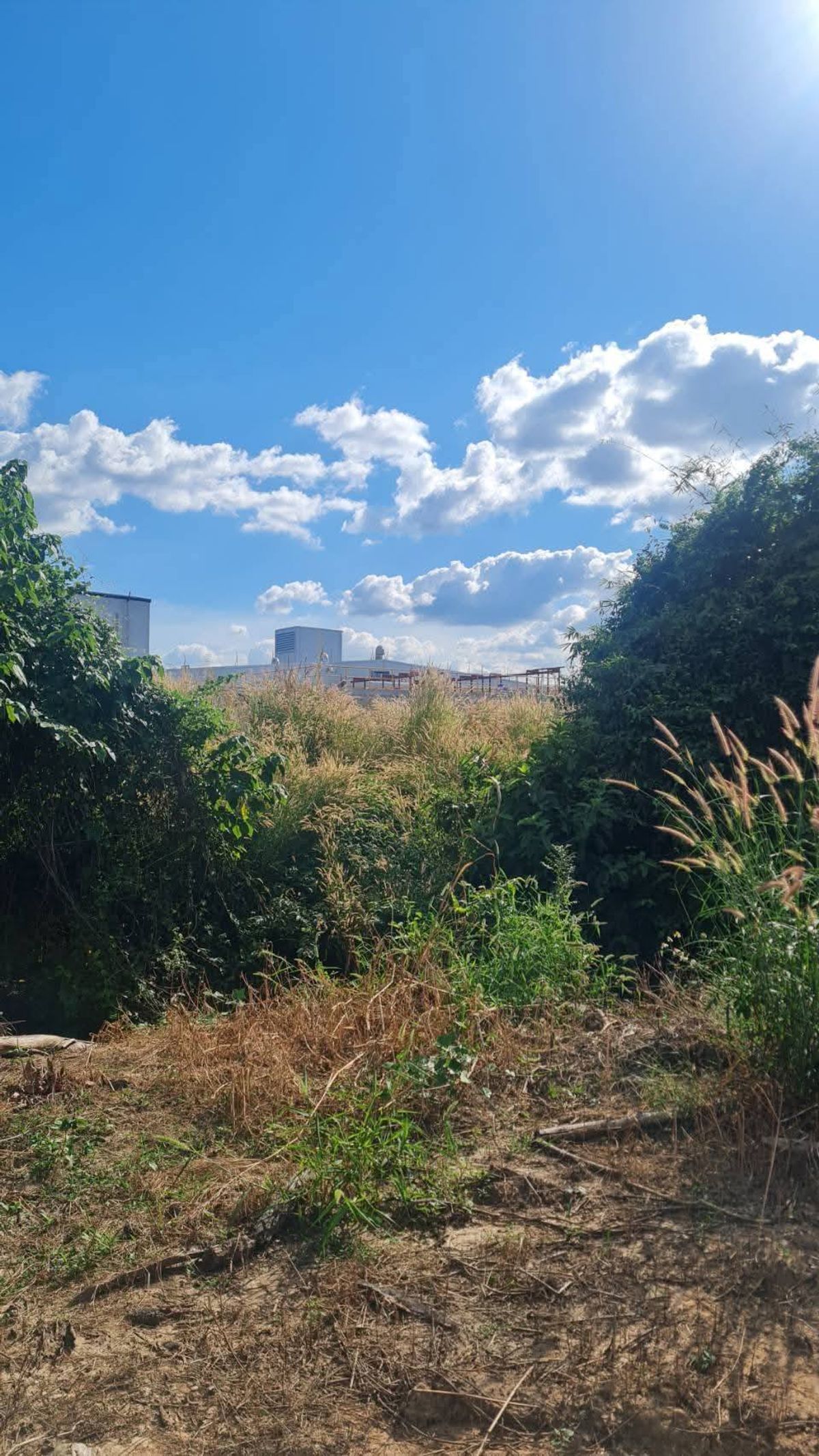 ขายที่ดินลำปาง : ขาย ที่ดิน ลำปาง ราคาถูก ทำเลทอง ใกล้ เขื่อนกิ่วลม ลดเกินครึ่ง