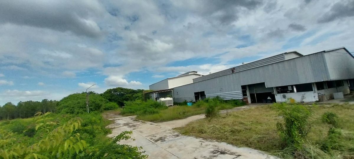 โกดังลพบุรี : ที่ดิน ให้เช่า พร้อมโกดัง ลพบุรี ท่าวุ้ง 33 ไร่ ติดถนนใหญ่