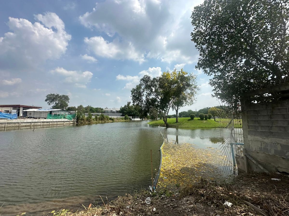 ขายที่ดินปทุมธานี รังสิต ธรรมศาสตร์ : หั่นราคา ที่ดิน แปลงสวย รังสิต เมืองเอก ติดทะเลสาบ ใกล้มหาลัยรังสิต