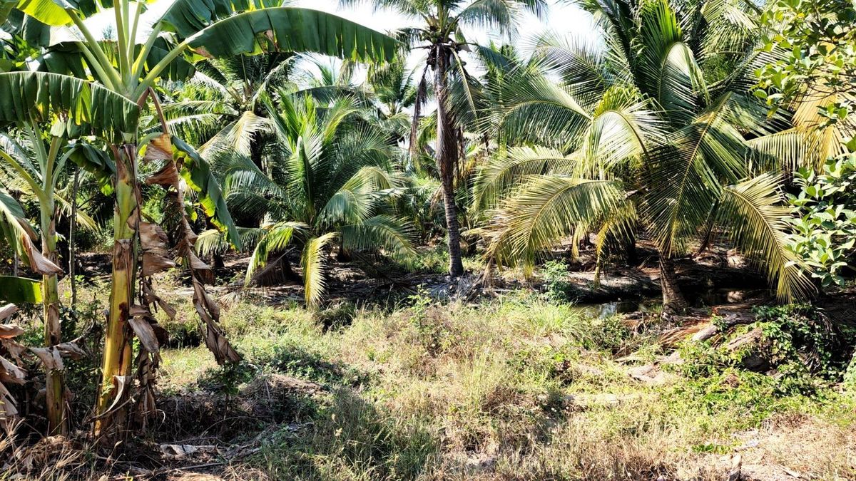 For SaleLandRama 2, Bang Khun Thian : Land for sale in Rama 2 Tha Kham Soi Ngamcharoen 33 | 7 Rai 49 square wah