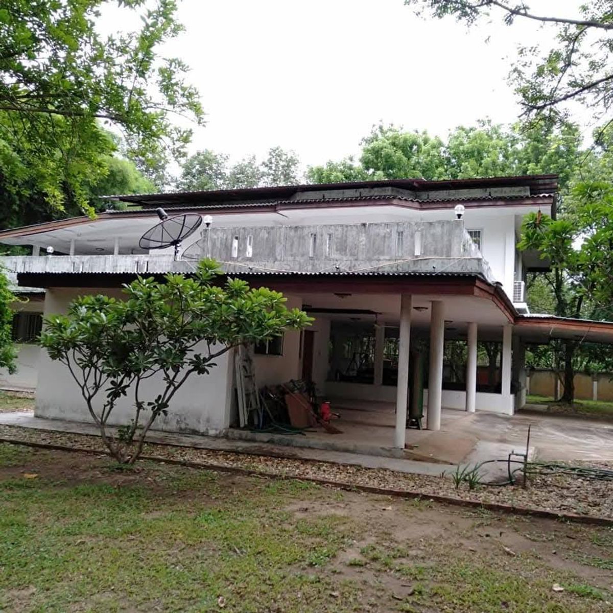 ขายที่ดินลำพูน : ขาย ที่ดิน ลำพูน แปลงใหญ่ พร้อมต้นไม้เศรษฐกิจ 