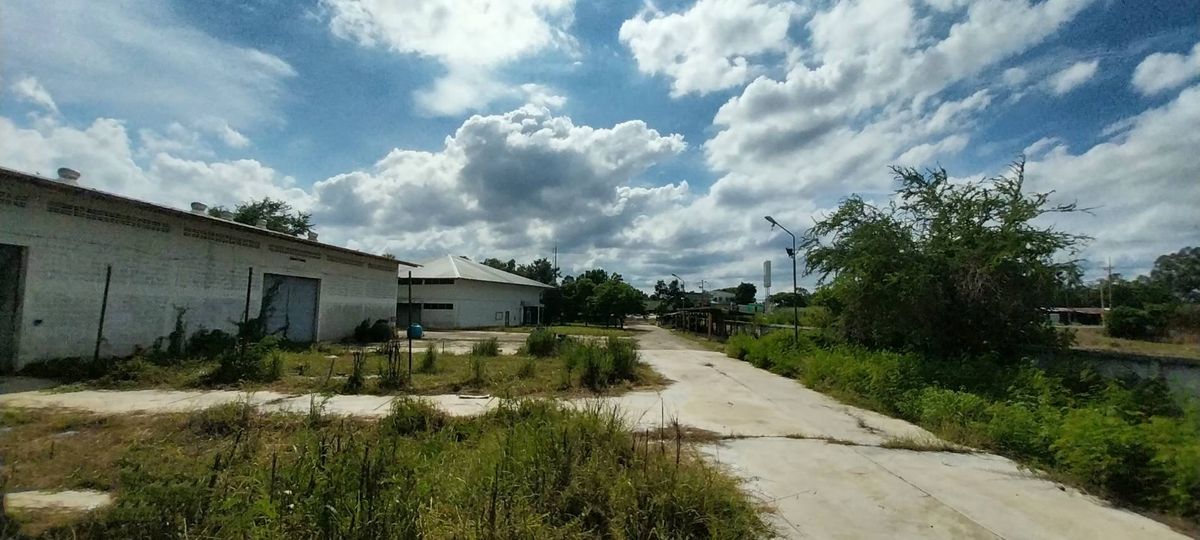 โกดังลพบุรี : ที่ดิน ให้เช่า พร้อมโกดัง ลพบุรี ท่าวุ้ง 33 ไร่ ติดถนนใหญ่