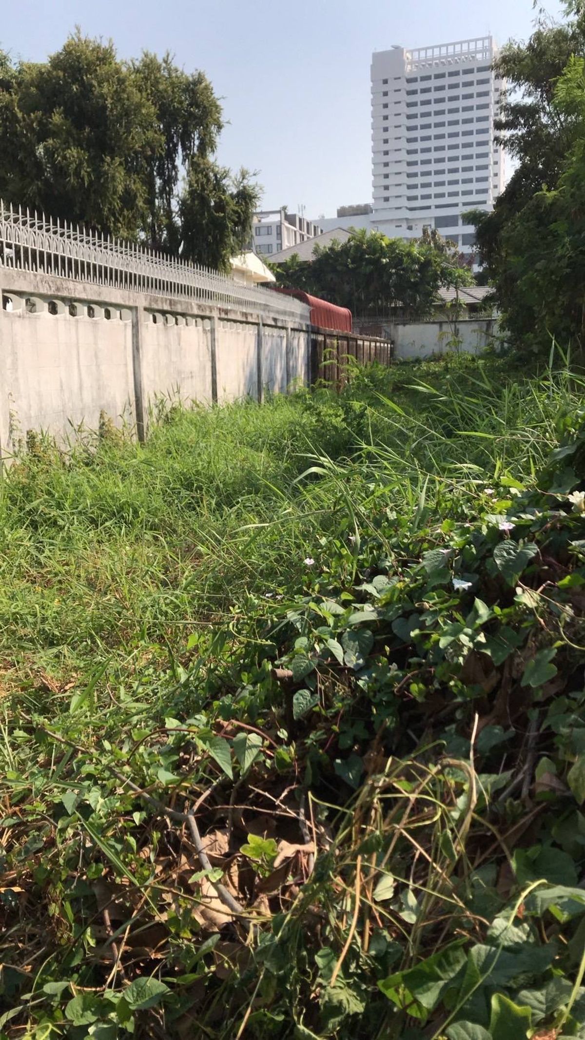 ขายที่ดินลาดพร้าว เซ็นทรัลลาดพร้าว : ที่ดิน ลาดพร้าว ซอย 19 350 เมตร จากปากซอย ใกล้ MRT ห้าแยกลาดพร้าว