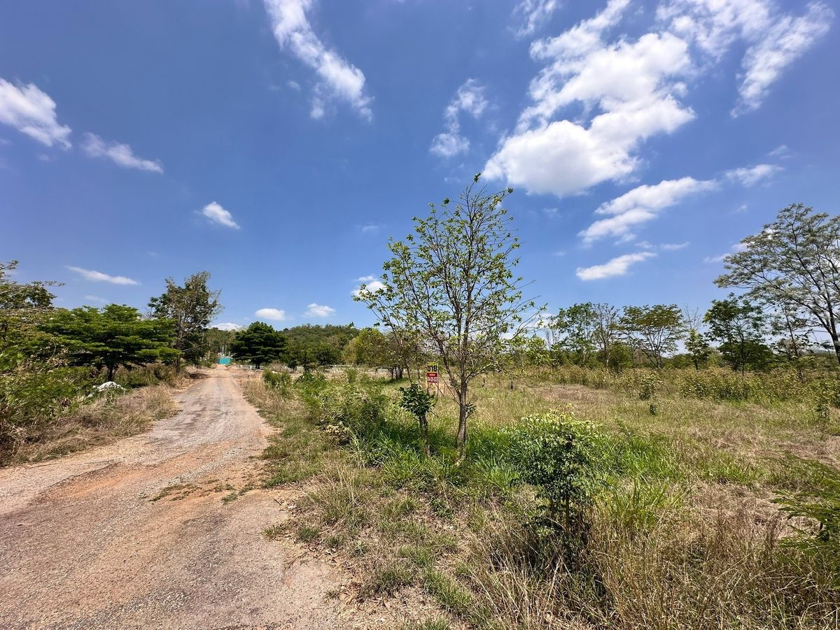 For SaleLandPak Chong KhaoYai : Land for Sale with Mountain View Khaoyai, Pak Chong Moosi
