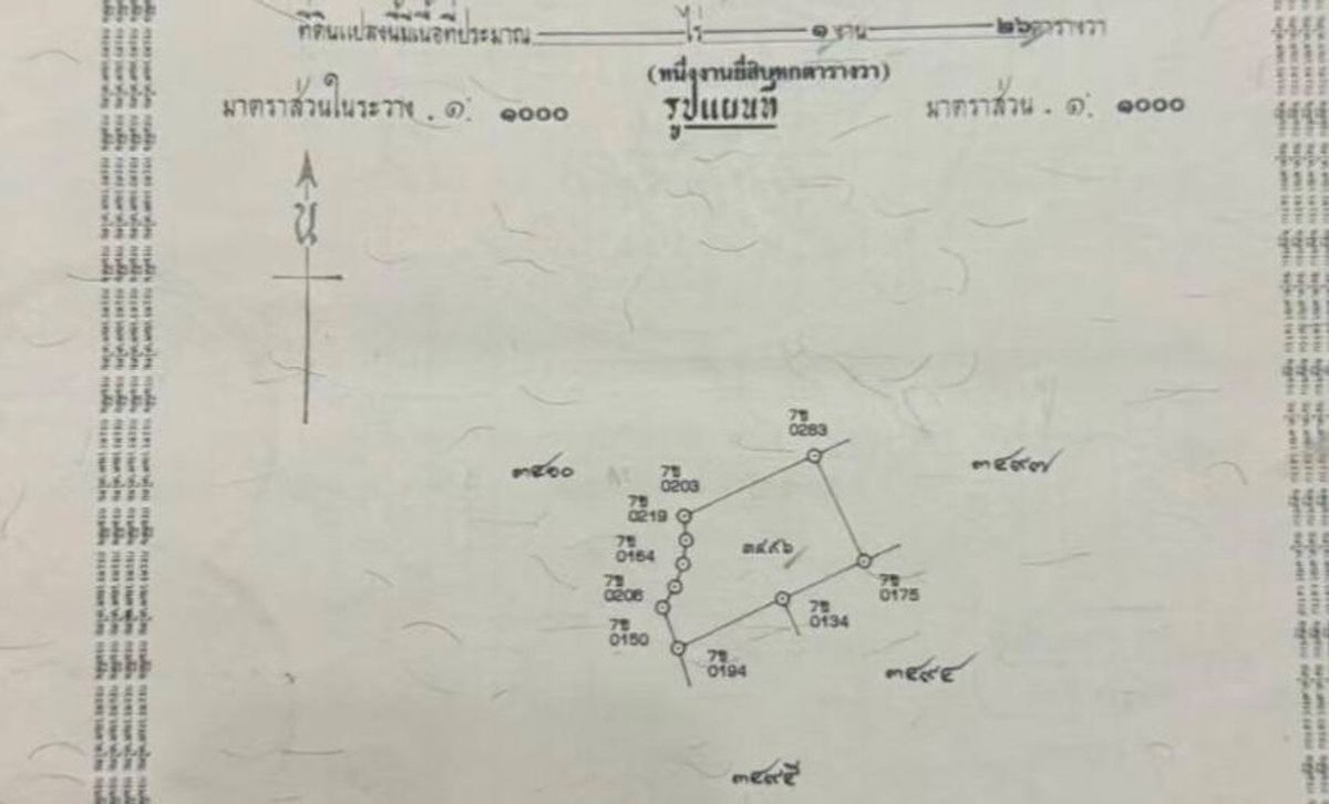 ขายบ้านมีนบุรี-ร่มเกล้า : ขายบ้านเดี่ยว2ชั้น 305 ตารางวา        เพอเฟคเพลส รามคำแหง164