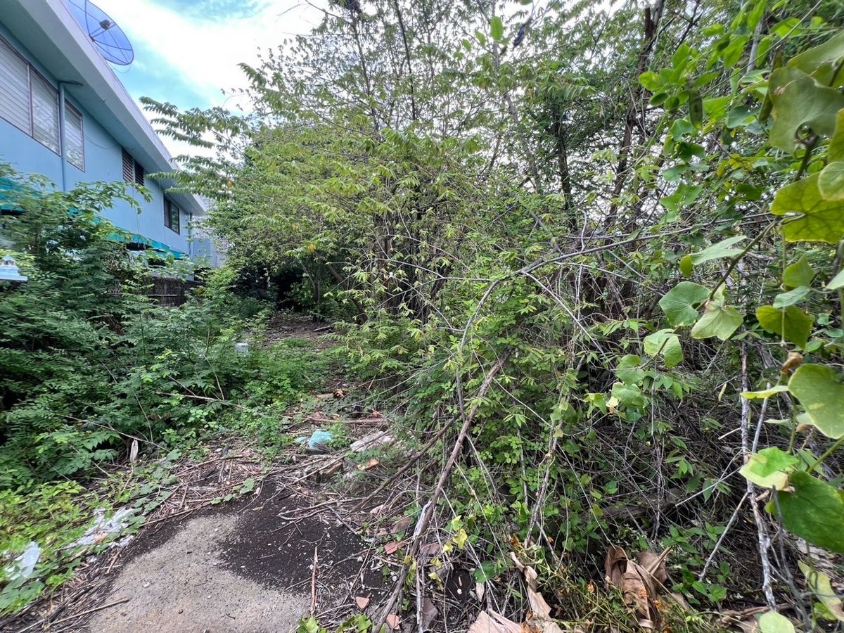 ขายที่ดินอ่อนนุช อุดมสุข : Land in Bangna | โอกาสทอง! ที่ดินบางนา | 稀缺机会！邦纳核心地段土地 🏠🚉🙋🏻‍♂️✈️ 📍 100 ตร.วา (400 sqm) | Frontage 15m × Depth 25m | 面宽15米 × 深25米 🛣️ เพียง 150 ม. จากปากซอย / 750 ม. ถึง 🚉 BTS อุดมสุข / ตรงข้าม Bangkok Mall 🏬🛒🛍️🎉