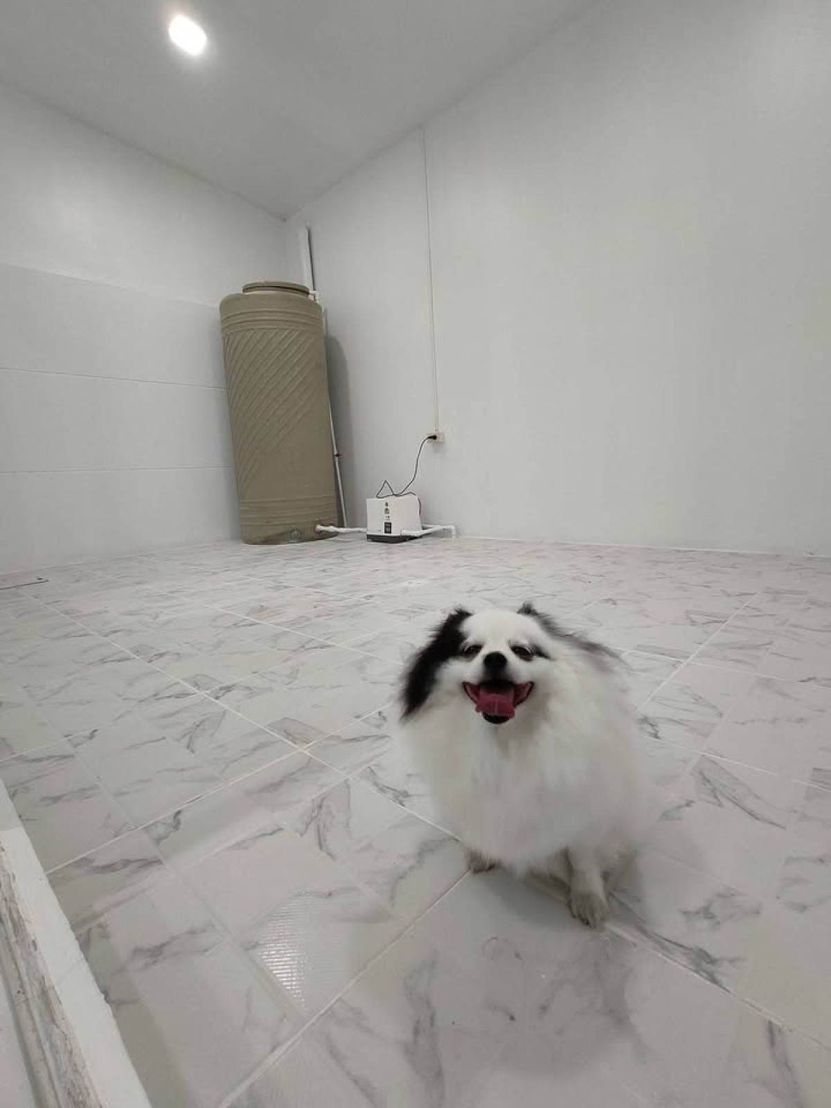 ขายทาวน์โฮมนวมินทร์ รามอินทรา : ขายทาวน์เฮ้าส์/ทาวน์โฮม  อาร์เค พาร์ค รามอินทรา-ซาฟารี บางชัน เขต คลองสามวา กรุงเทพ CX-137823