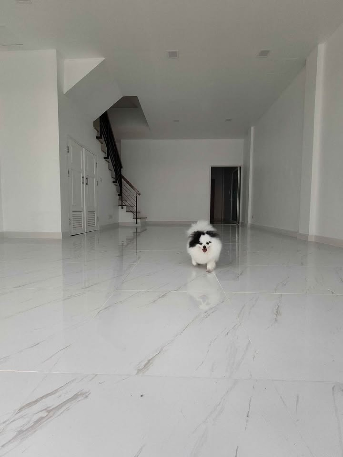 ขายทาวน์โฮมนวมินทร์ รามอินทรา : ขายทาวน์เฮ้าส์/ทาวน์โฮม  อาร์เค พาร์ค รามอินทรา-ซาฟารี บางชัน เขต คลองสามวา กรุงเทพ CX-137823