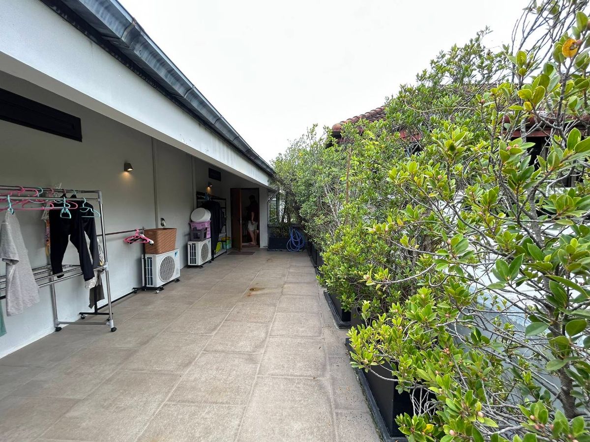 For SaleHouseSukhumvit, Asoke, Thonglor : Detached house, Sukhumvit zone, near BTS. Phra Khanong only 4 minutes