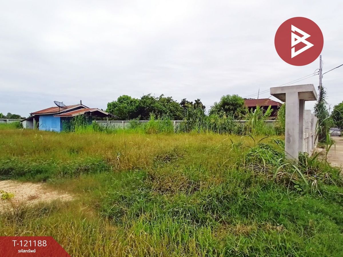 ขายที่ดินนครสวรรค์ : ขายที่ดิน เนื้อที่ 2 งาน 42 ตร.วา บางม่วง นครสวรรค์