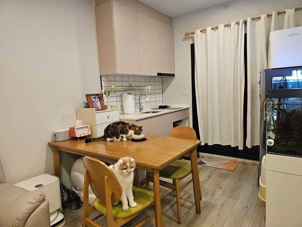 For SaleCondoLadprao, Central Ladprao : The best price! 💥 Of the dog, Metris Ladprao, Ladprao Condo, good location, near the mall and MRT. Convenient to travel. Pet Friendly! Interested contact 0876358339