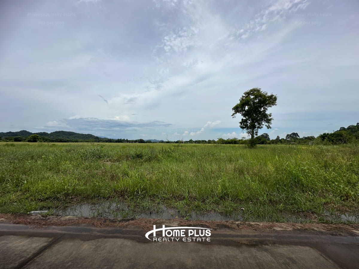 ขายที่ดินนครนายก : ที่ดินติดถนนนครนายก-เขาทุเรียน อำเภอเมือง นครนายกเนื้อที่ 436 ตารางวา