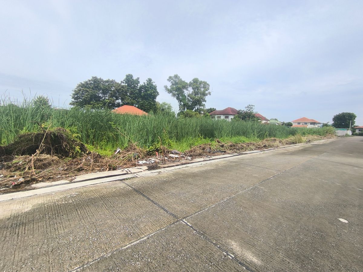 ขายที่ดินปทุมธานี รังสิต ธรรมศาสตร์ : ที่ดินเปล่า 120 ตารางวา ใกล้สนามกอล์ฟธูปะเตมีย์