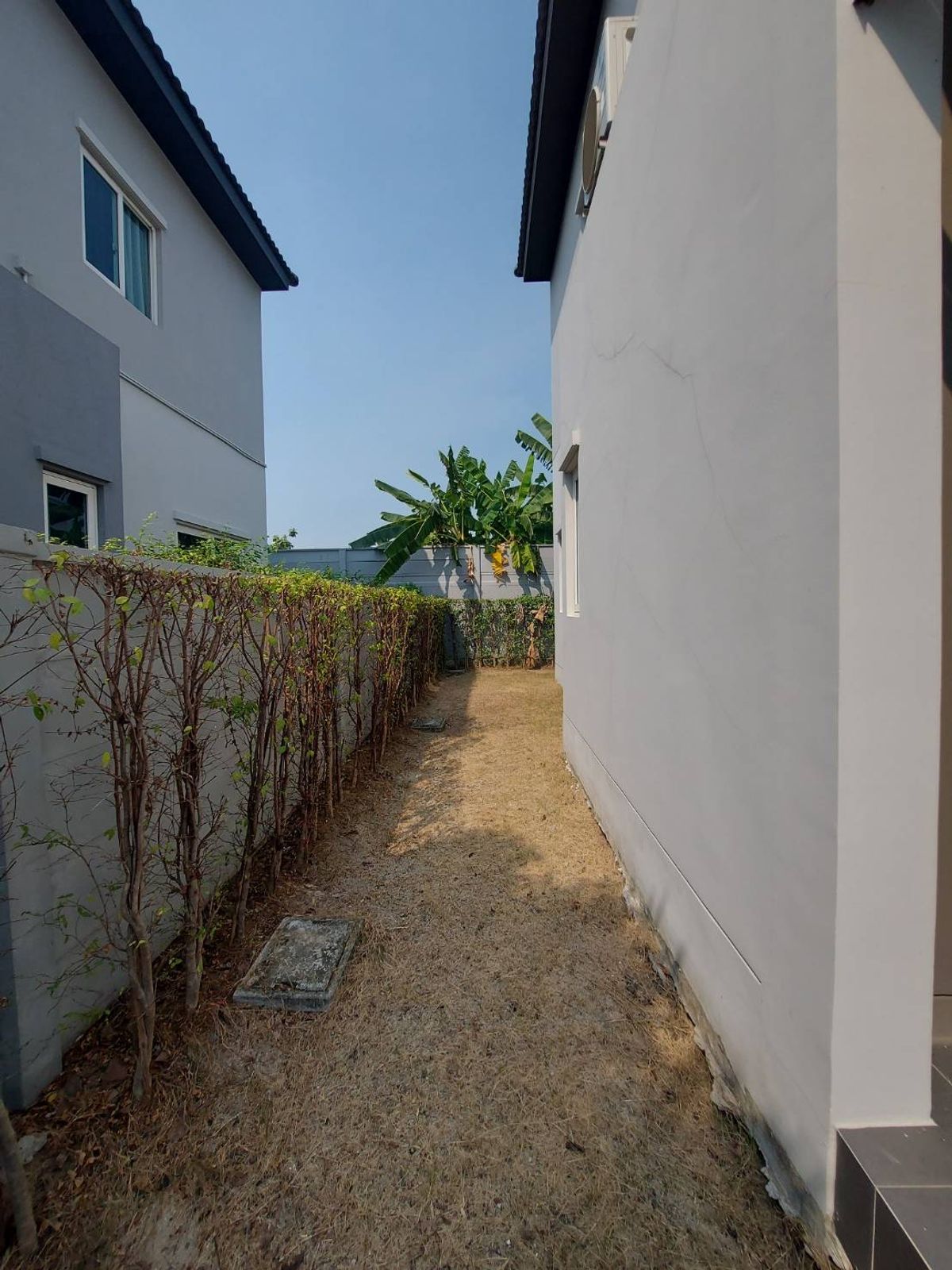 ให้เช่าสมุทรปราการ สำโรง : ให้เช่าบ้านเดี่ยว หมู่บ้านแกรนด์พลีโน่บางนา กิ่งแก้ว 37 พร้อมอยู่ (N.1544)