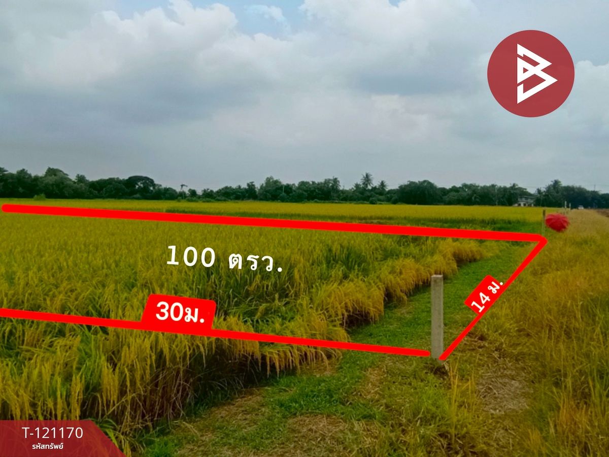 ขายที่ดินปทุมธานี รังสิต ธรรมศาสตร์ : ขายที่ดิน เนื้อที่ 1 งาน หนองเสือ ปทุมธานี