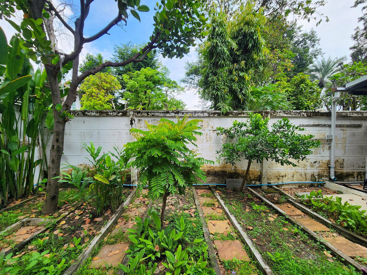 ให้เช่าบ้านลาดพร้าว เซ็นทรัลลาดพร้าว : SK05031 ให้เช่าบ้านลาดพร้าว2  บ้านเดี่ยวหลังใหญ่ พื้นที่เยอะ เลียบทางด่วน เอกมัย - รามอินทรา