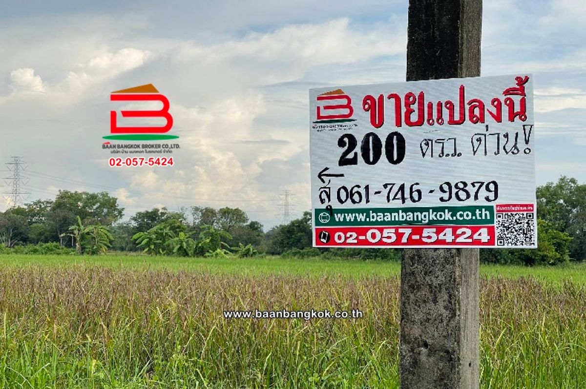 ขายที่ดินปทุมธานี รังสิต ธรรมศาสตร์ : ที่ดินเปล่า ซอยเฉลิมกิจ (เลียบคลอง12) เนื้อที่ 200 ตร.ว ใกล้มัสยิดอิกอมาตุ้ล ตำบลหนองสามวัง อำเภอหนองเสือ ปทุมธานี