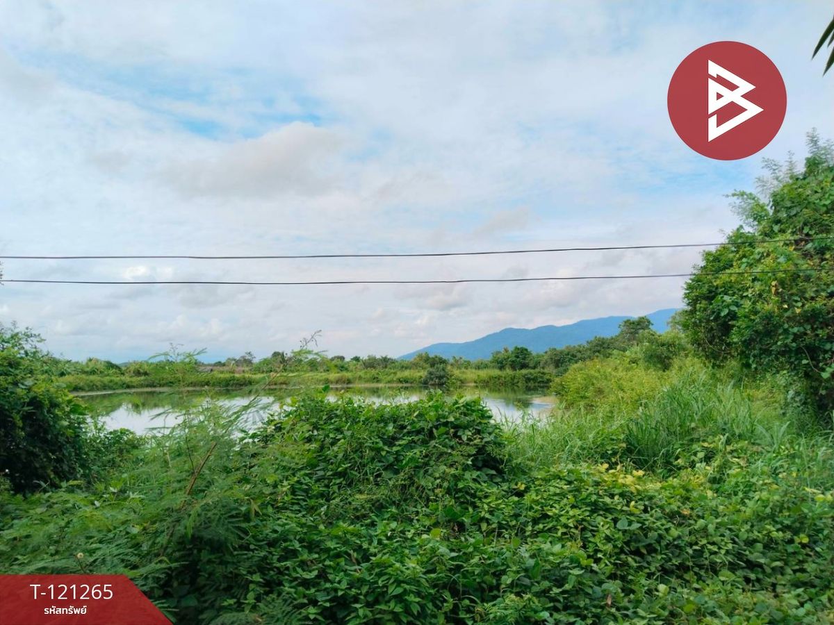 ขายที่ดินจันทบุรี : ขายที่ดินพร้อมบ่อปู เนื้อที่ 3 ไร่ แหลมสิงห์ จันทบุรี