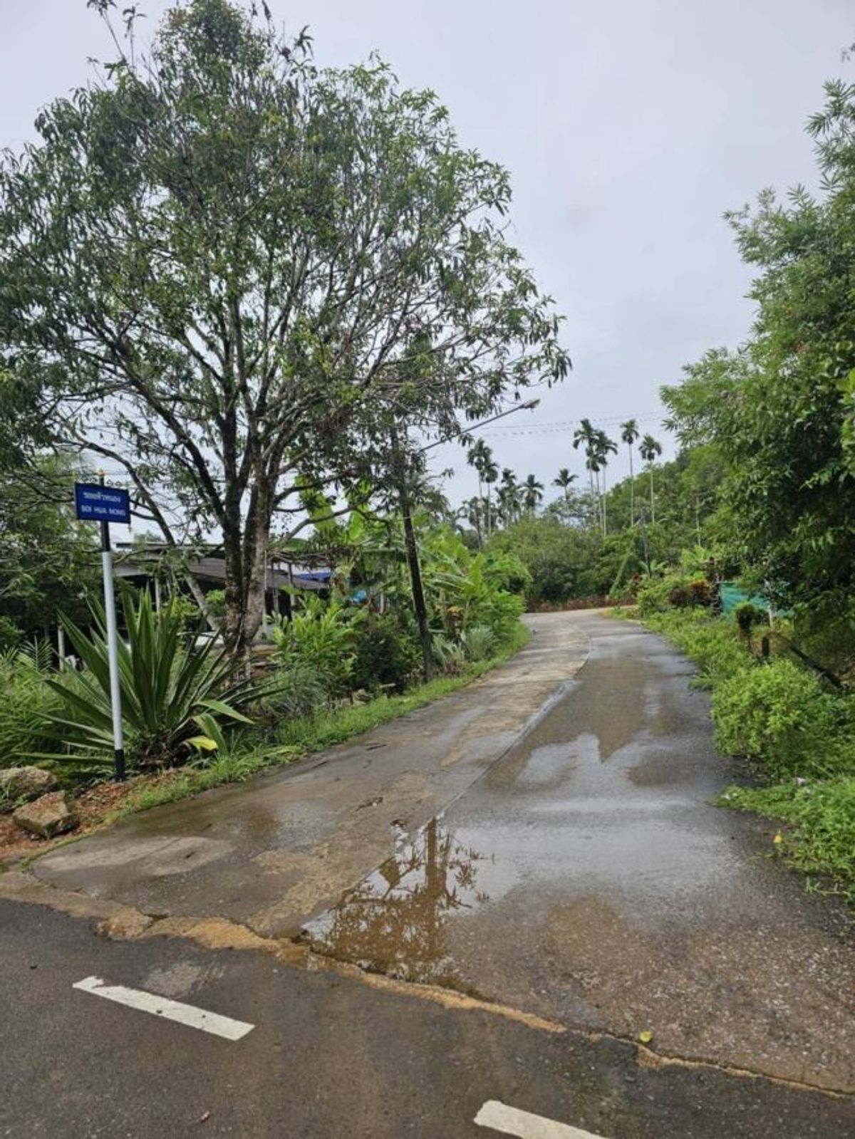 ขายที่ดินตราด : ขายที่ดินเปล่าสวยบรรยากาศดี อำเภอเมือง ตราด 3-3-89 ไร่