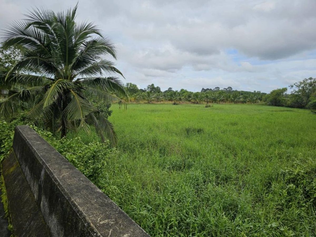 ขายที่ดินตราด : ขายที่ดินเปล่าสวยบรรยากาศดี อำเภอเมือง ตราด 3-3-89 ไร่