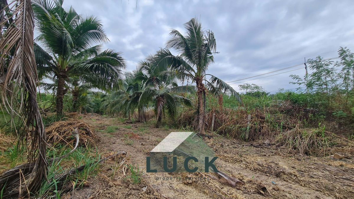 ขายที่ดินหัวหิน ประจวบคีรีขันธ์ : LUCK 🏠ขายที่ดิน 7 ไร่ หัวหิน พร้อมบ้านสวนชั้นเดียว 1 หลัง ที่ติดถนนสาธารณะประโยชน์ ราคาดี!!!