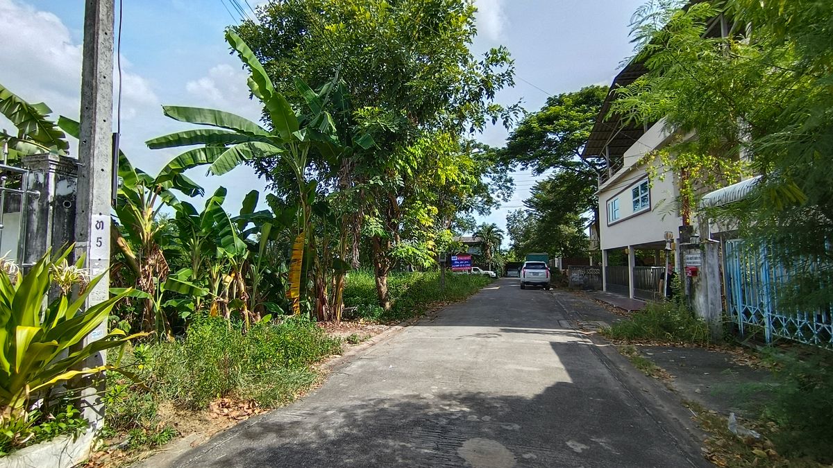 For SaleLandBang kae, Phetkasem : Beautiful land plot for sale for investors and those looking for vacant land.