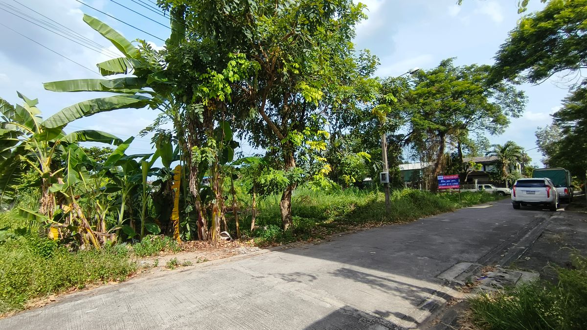 For SaleLandBang kae, Phetkasem : Beautiful land plot for sale for investors and those looking for vacant land.