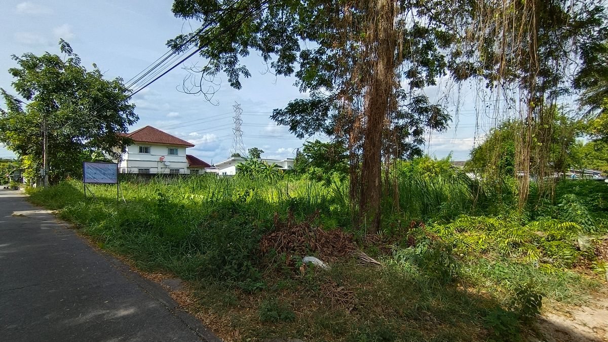 For SaleLandBang kae, Phetkasem : Beautiful land plot for sale for investors and those looking for vacant land.