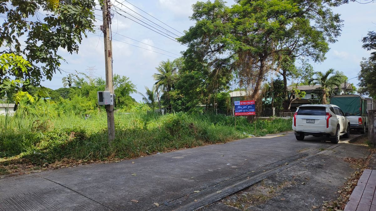 For SaleLandBang kae, Phetkasem : Beautiful land plot for sale for investors and those looking for vacant land.